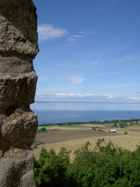 PICT2770.JPG